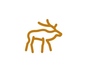 Profiilikuva