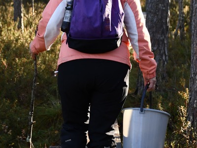 Fiiliskuvaus