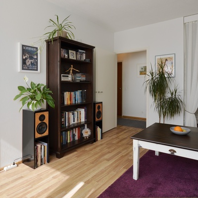 Olohuone, keittokomero ja makuualkovi